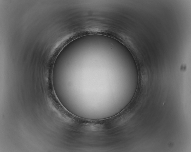 X0000111650539200907171548