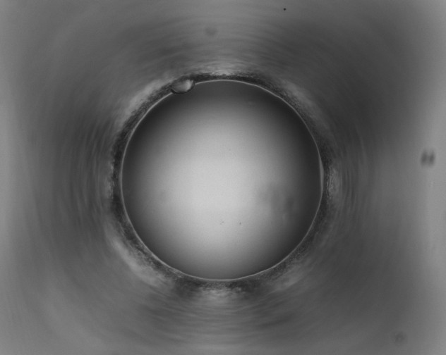 X0000111650540200907171548