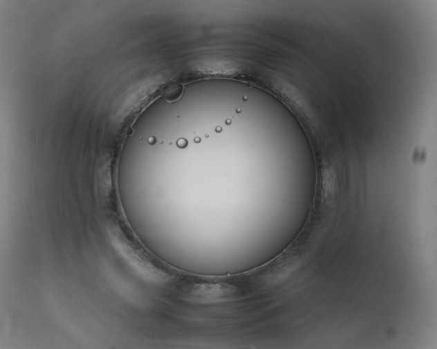 X0000111650541200907171548