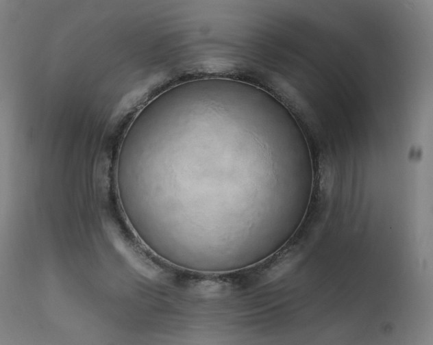 X0000111650542200907171548