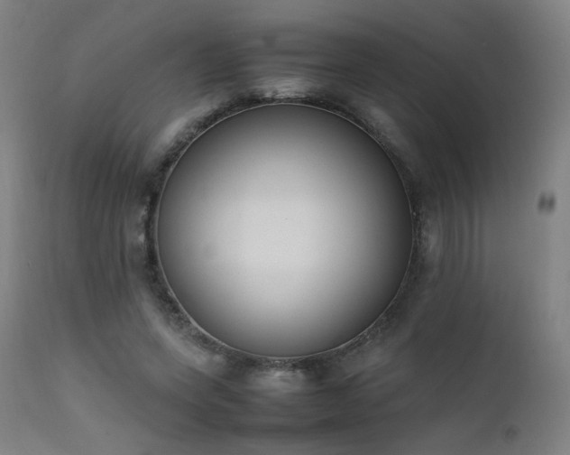 X0000111650543200907171548