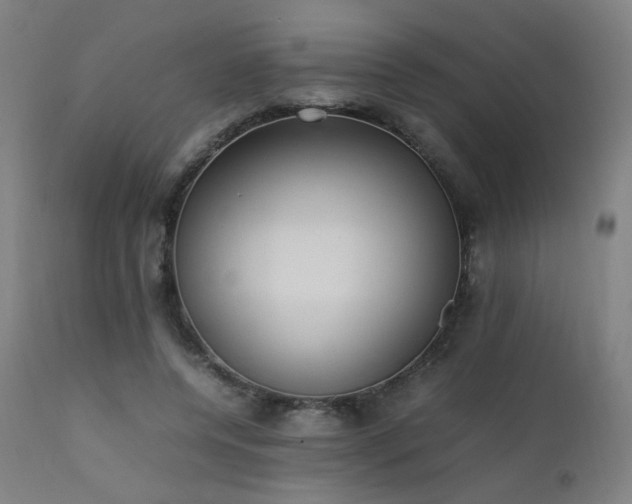 X0000111650544200907171548