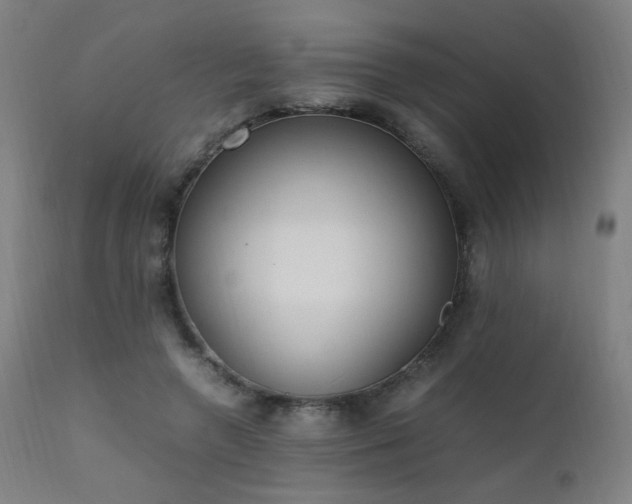 X0000111650546200907171548