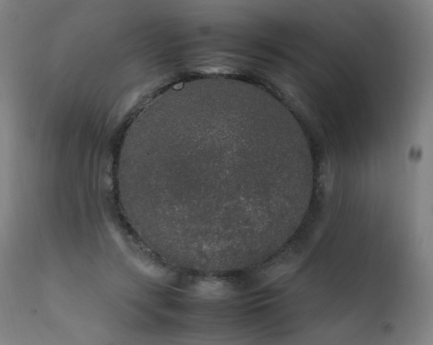 X0000111650547200907171548