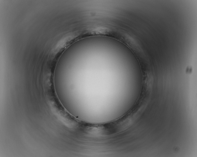 X0000111650548200907171548