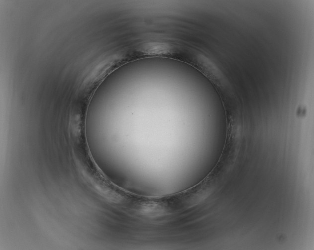 X0000111650549200907171548