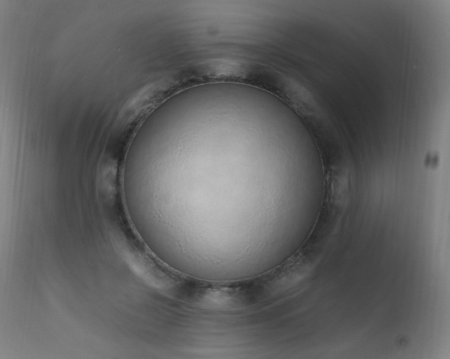 X0000111650550200907171548