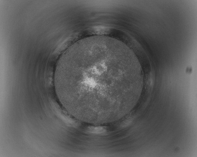 X0000111650553200907171548