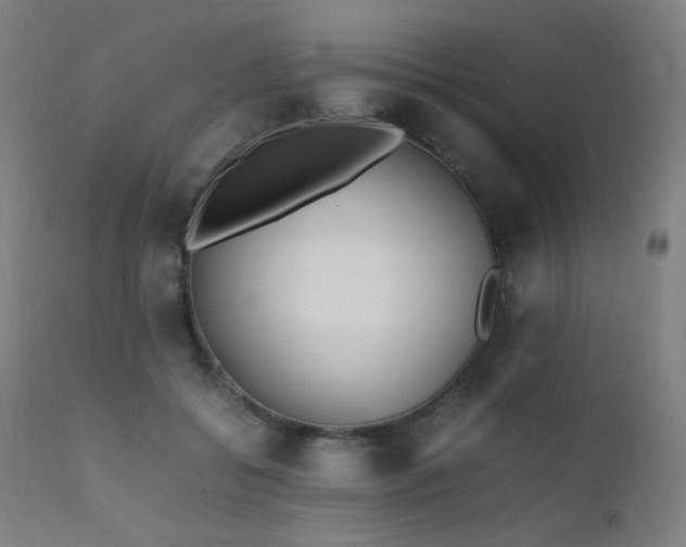 X0000111650556200907171548