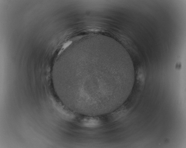 X0000111650559200907171548