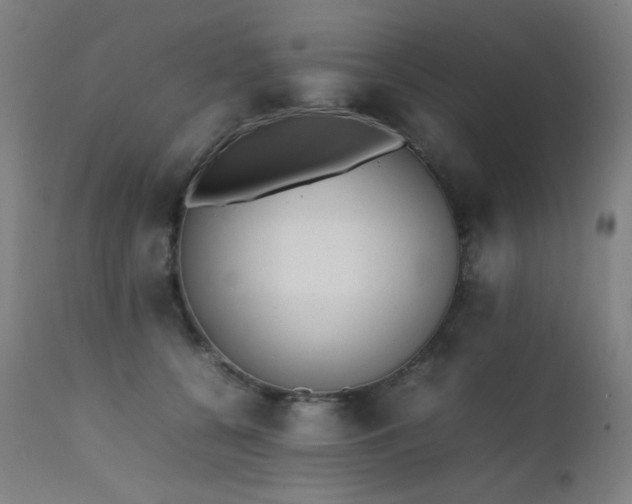 X0000111650560200907171548
