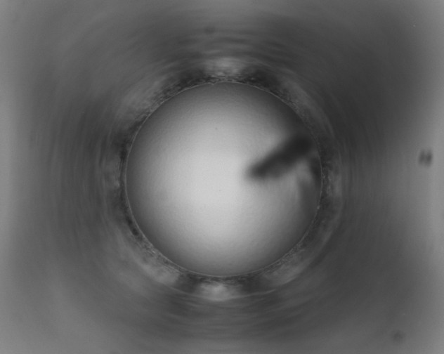 X0000111650561200907171548