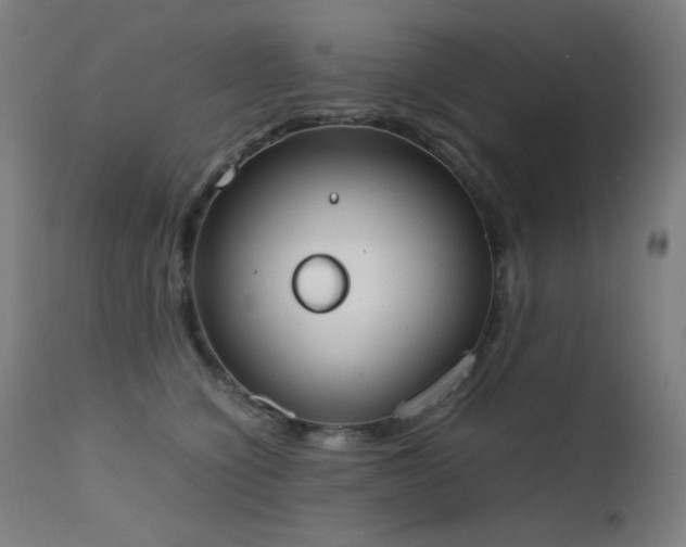 X0000111650564200907171548