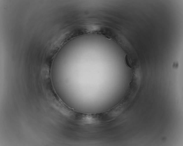 X0000111650565200907171548