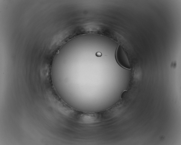 X0000111650567200907171548
