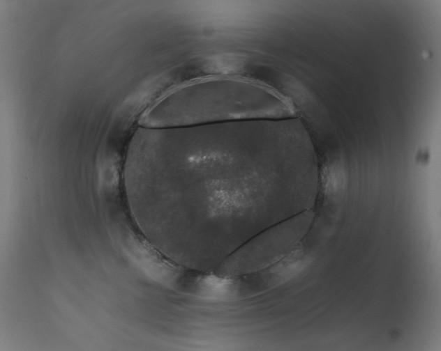 X0000111650570200907171548