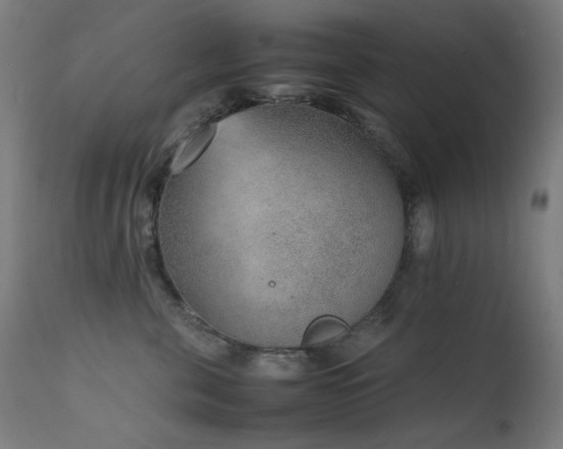 X0000111650571200907171548