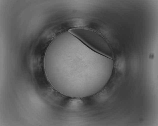 X0000111650572200907171548