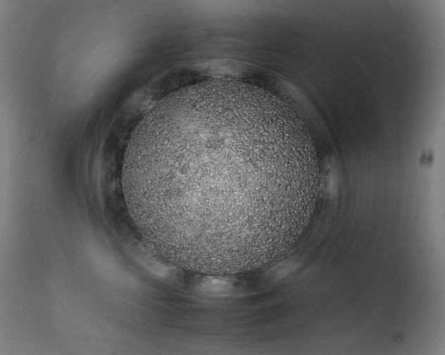 X0000111650573200907171548