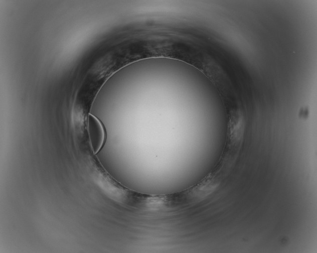 X0000111650574200907171548