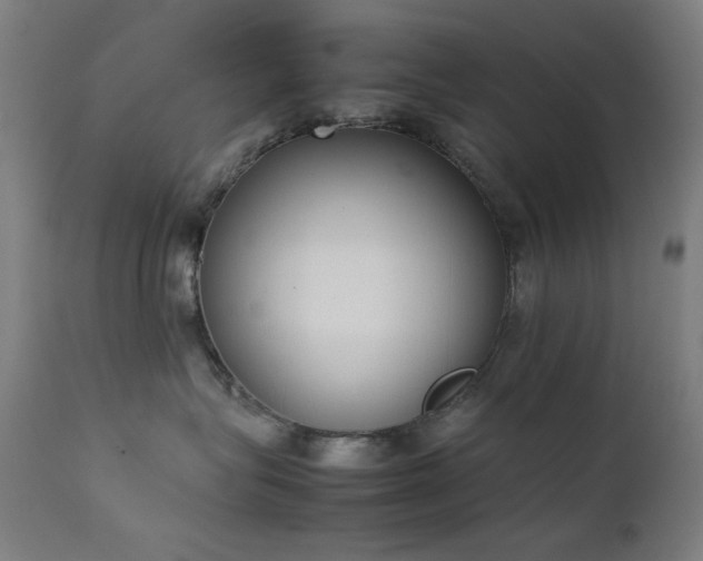 X0000111650575200907171548