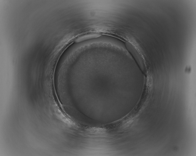 X0000111650577200907171547