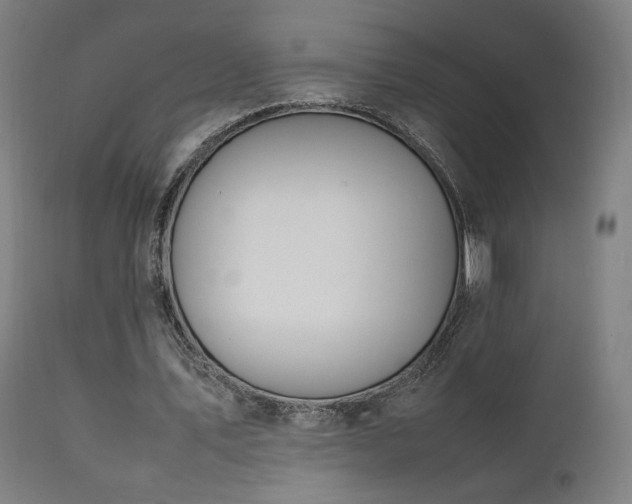 X0000111650579200907171547