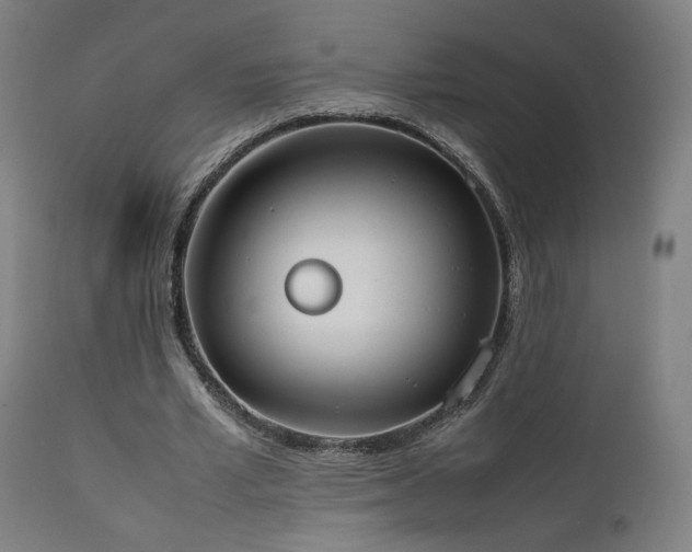 X0000111650581200907171547