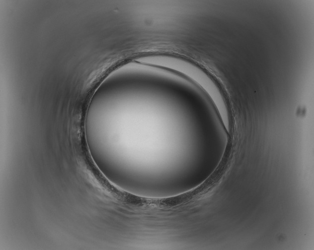 X0000111650585200907171547