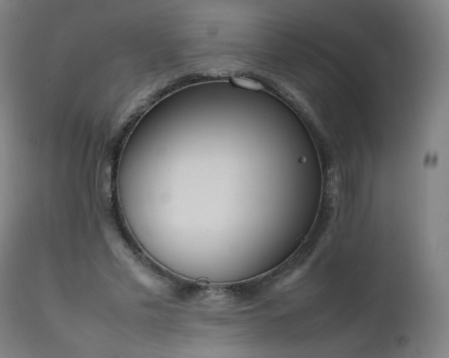 X0000111650589200907171547