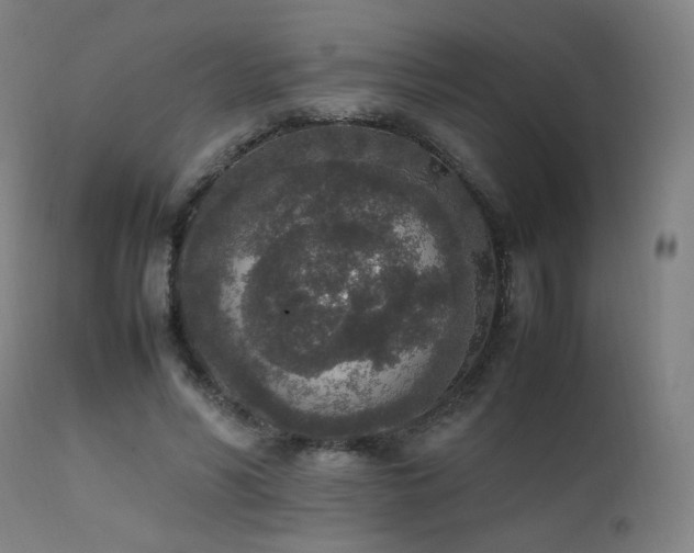 X0000111650590200907171547