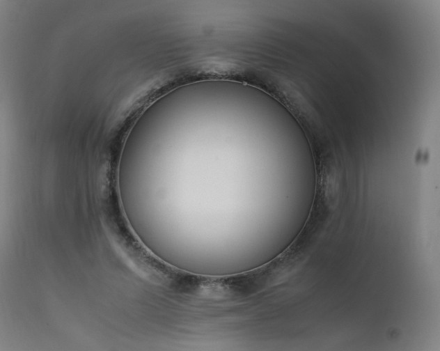 X0000111650591200907171547