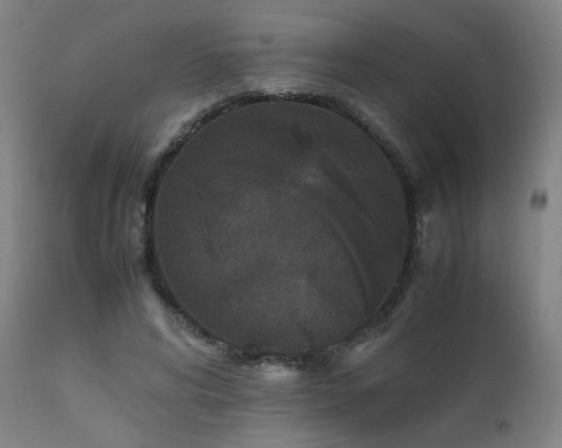 X0000111650592200907171547