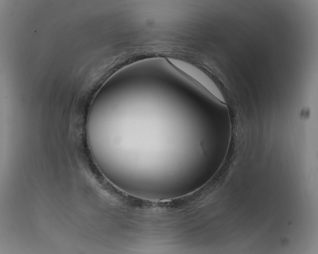 X0000111650593200907171547