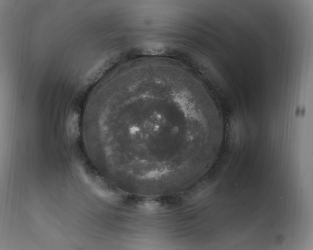 X0000111650598200907171547