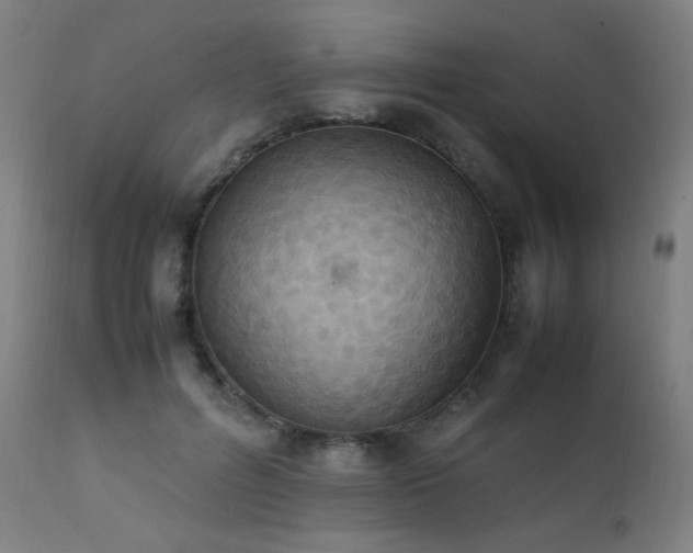 X0000111650600200907171547