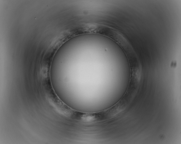 X0000111650602200907171547