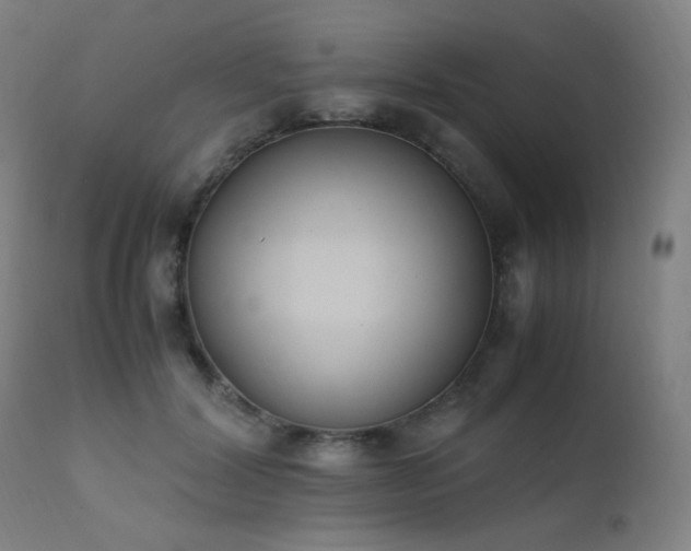 X0000111650604200907171547