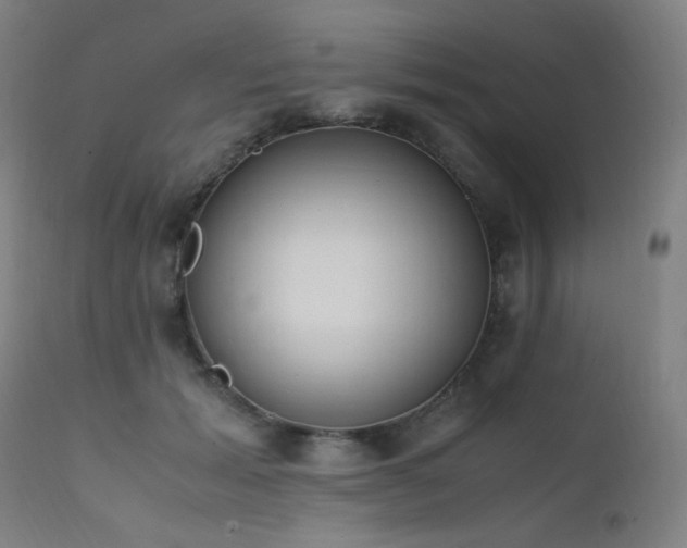 X0000111650605200907171547
