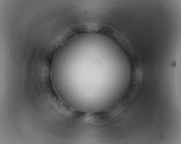 X0000111650608200907171547