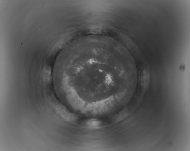 X0000111650610200907171547