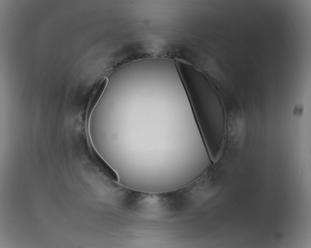 X0000111650611200907171547