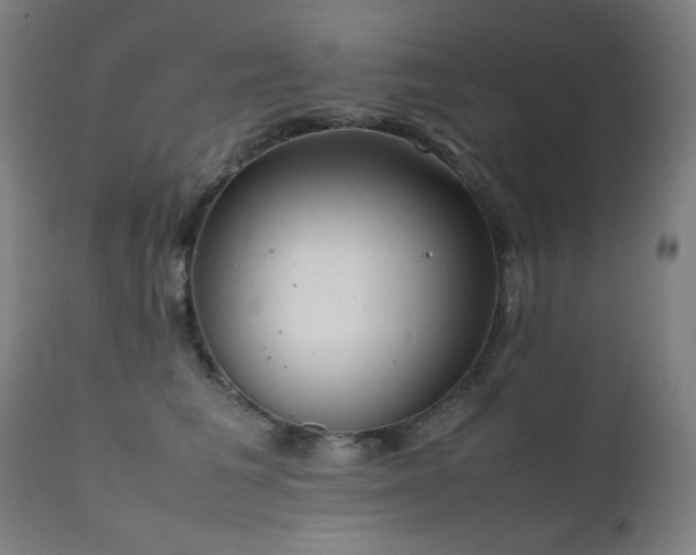X0000111650613200907171547