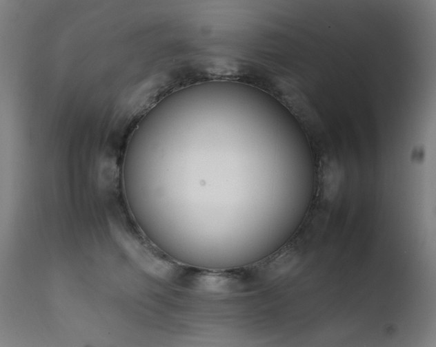X0000111650614200907171547