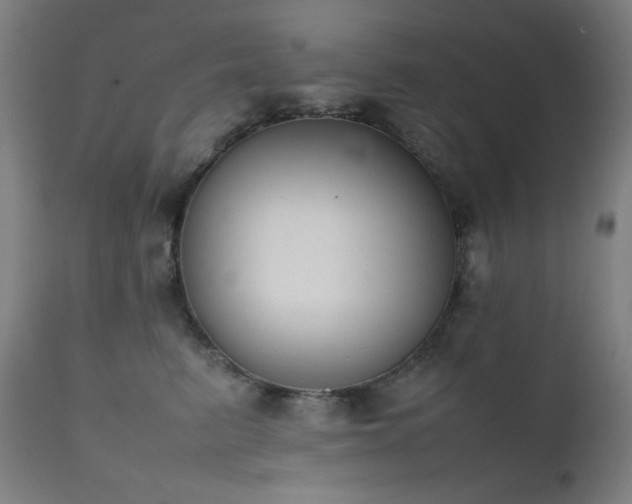 X0000111650615200907171547