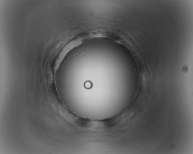 X0000111650617200907171547