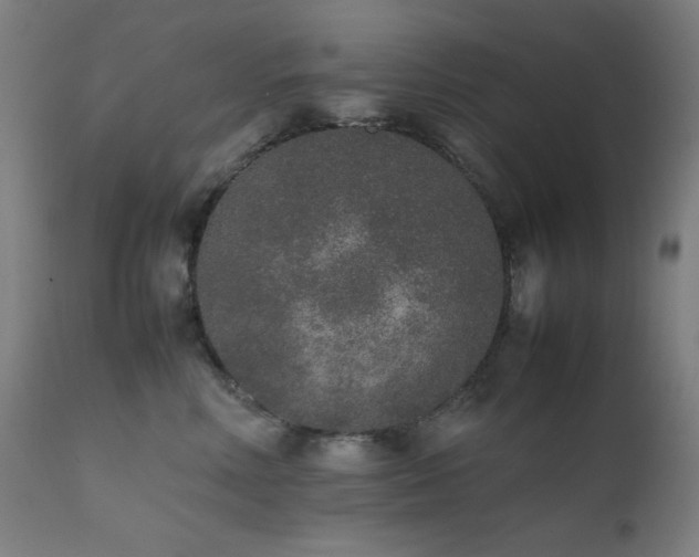 X0000111650618200907171547