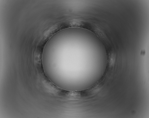 X0000111650619200907171547