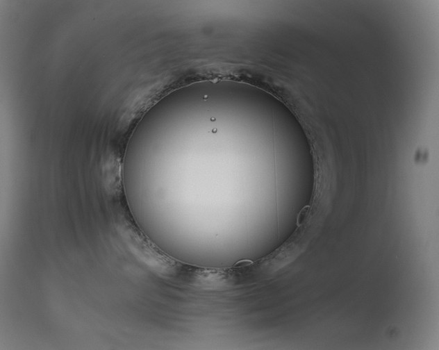 X0000111650624200907171547