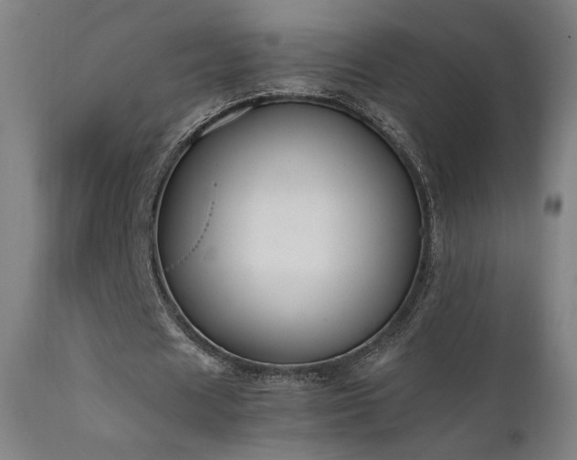 X0000111650625200907171546